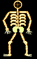 [Skeleton+Pasta+Finished.gif]