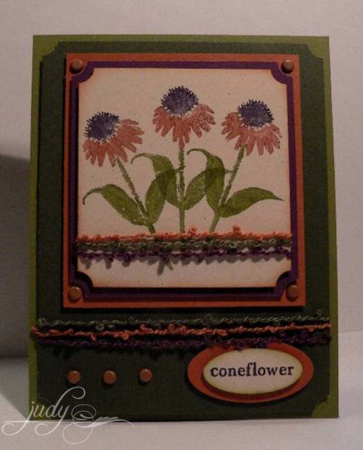 [101508+SBT+FLLC.jpg]