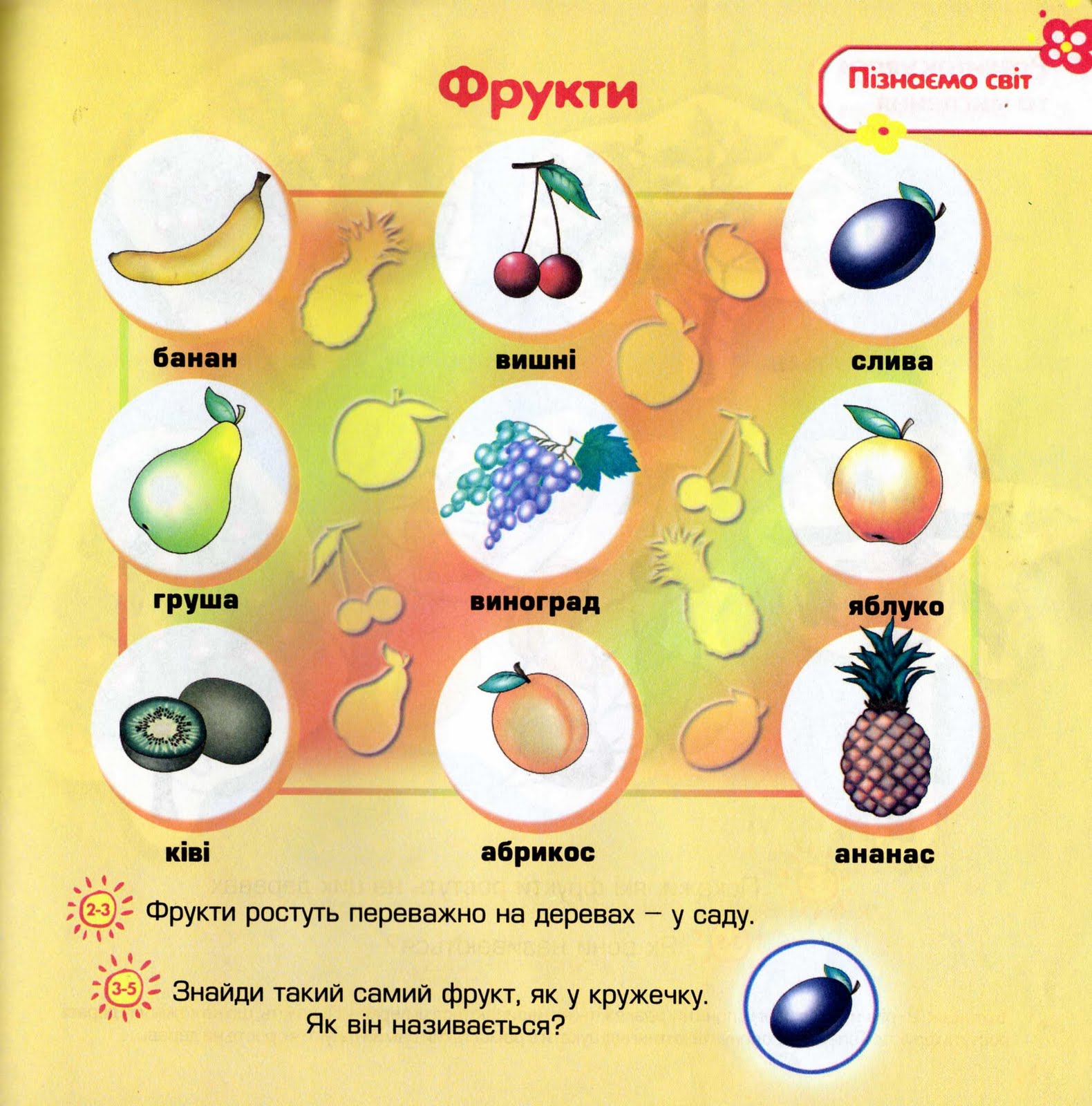 Світ очима дитини / Мир глазами ребенка: Вивчаємо овочі та фрукти ...