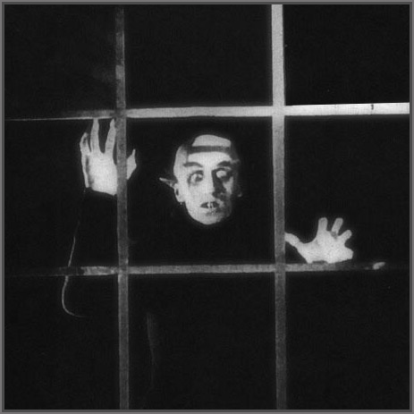 [Looking+in+the+window.jpg]