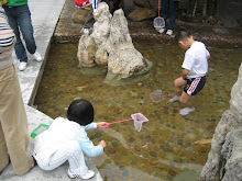 Catching goldfish at Baomo Garden