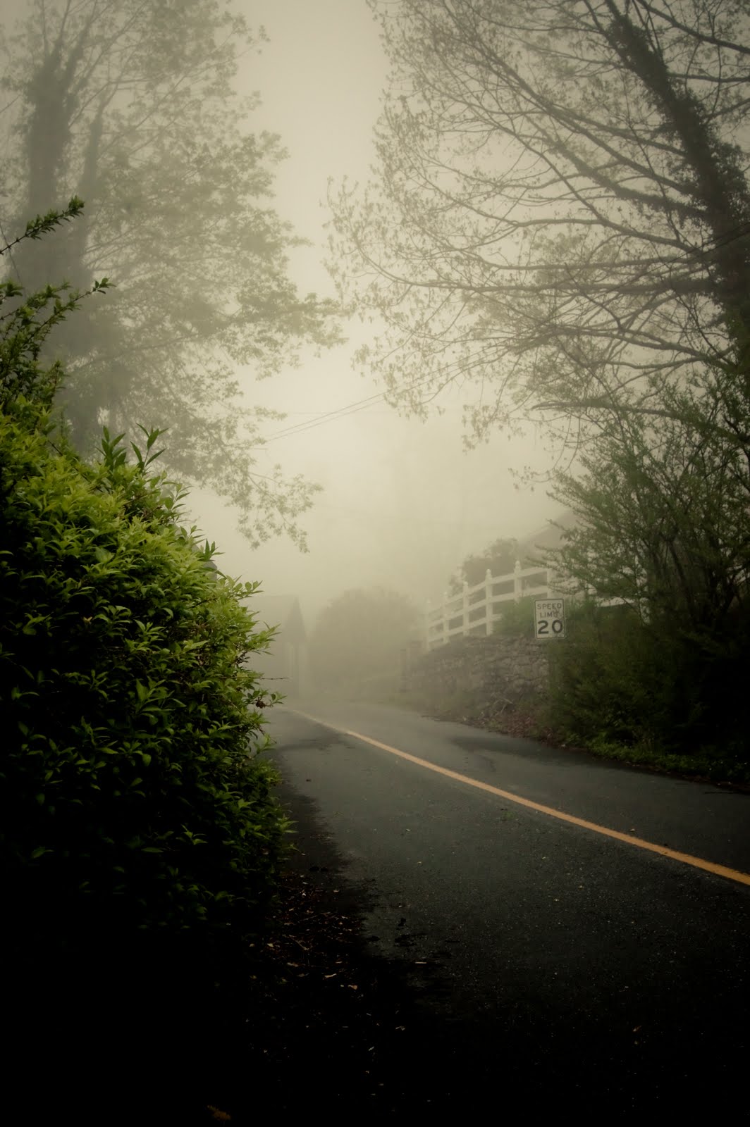 photo365/52 Foggy mountain morning