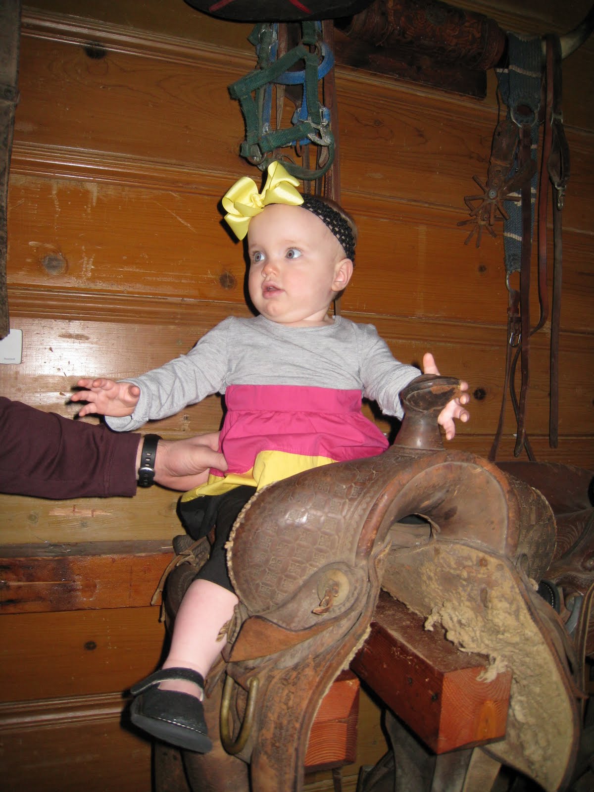 [March+20,+2010+004.JPG]