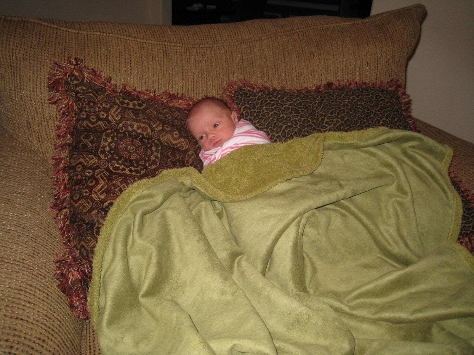 [Watching+t.v..JPG]
