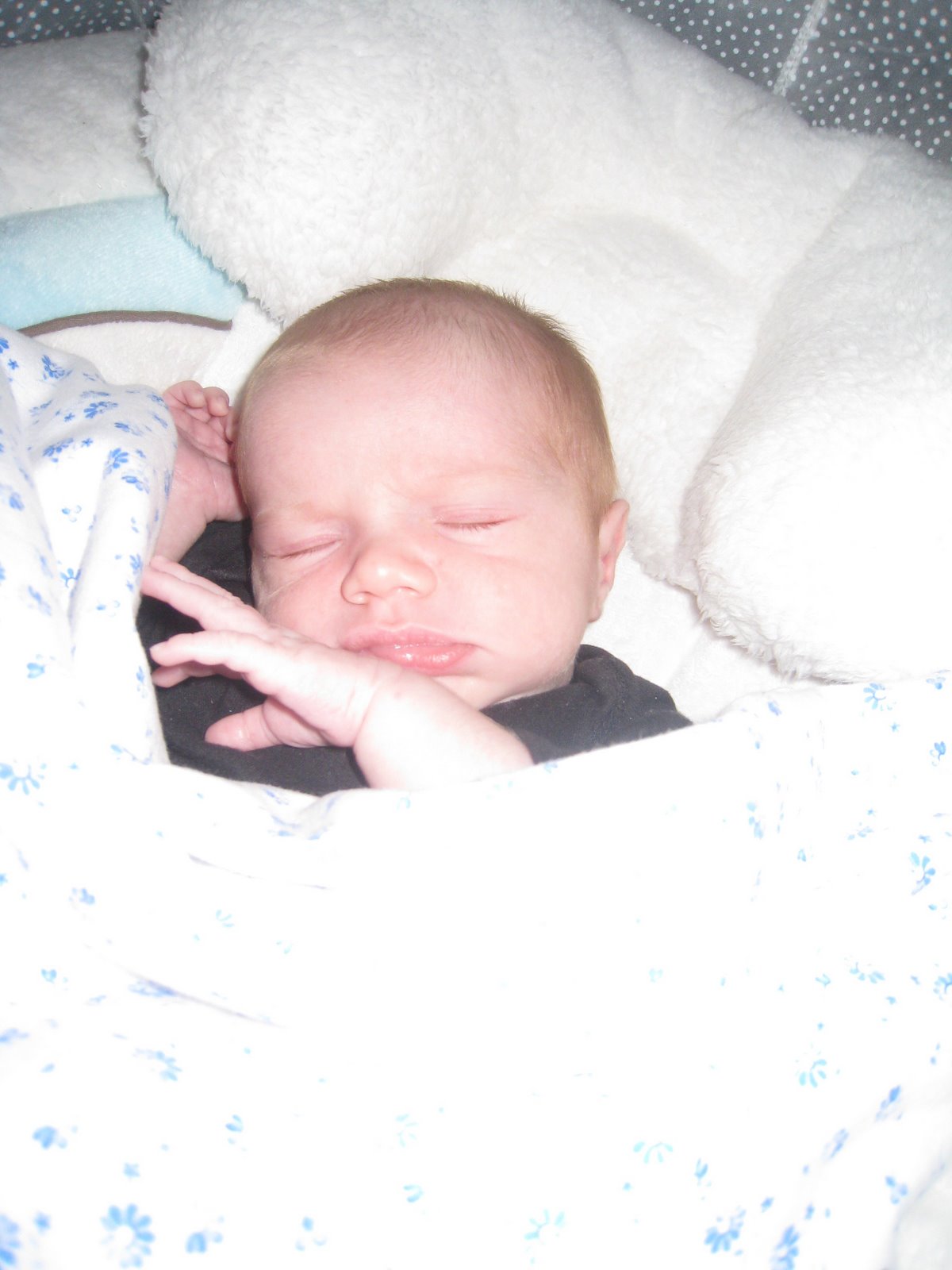 [Sleepin+in+swing+2.JPG]