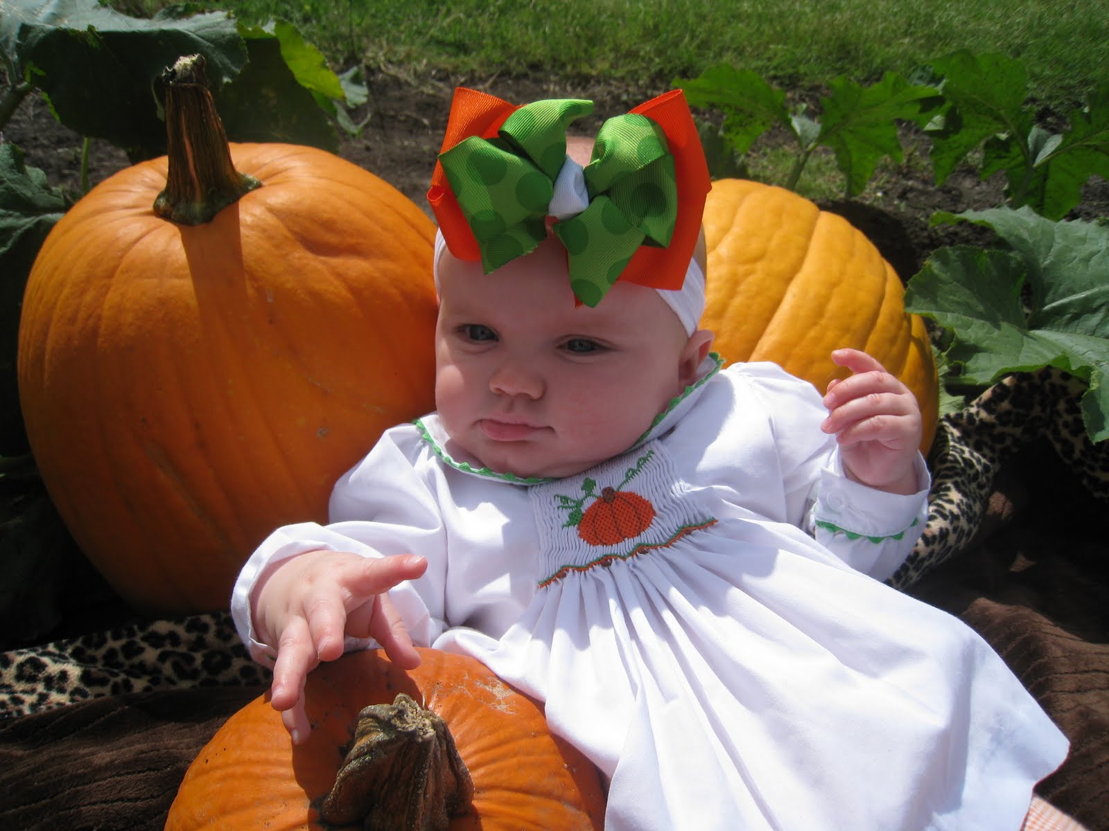 [October+3,+2009+045.JPG]