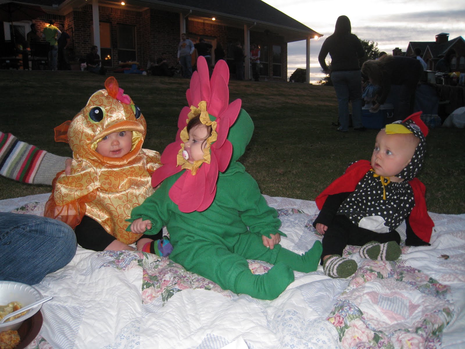 [November+4,+2009+003.JPG]