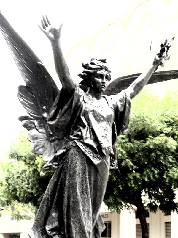 [dsc03482+(Modificada).jpg]