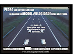 A VIDA QUER VOLTAR PARA CASA. NÃO DEIXE QUE SE PERCA NA ESTRADA! (marianabbcerqueira)