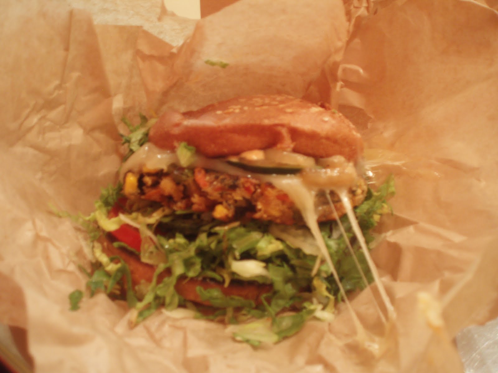 wilsonsguide-where-to-eat-very-vibrant-veggie-burgers-o-burger