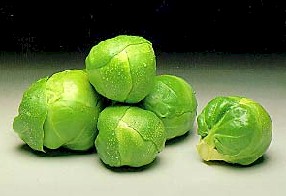 [brussels+sprouts.jpg]