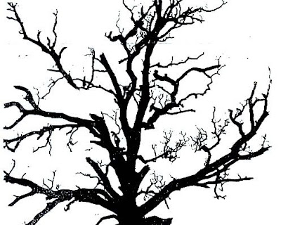 tree silhouette clip art. oak tree silhouette clip art
