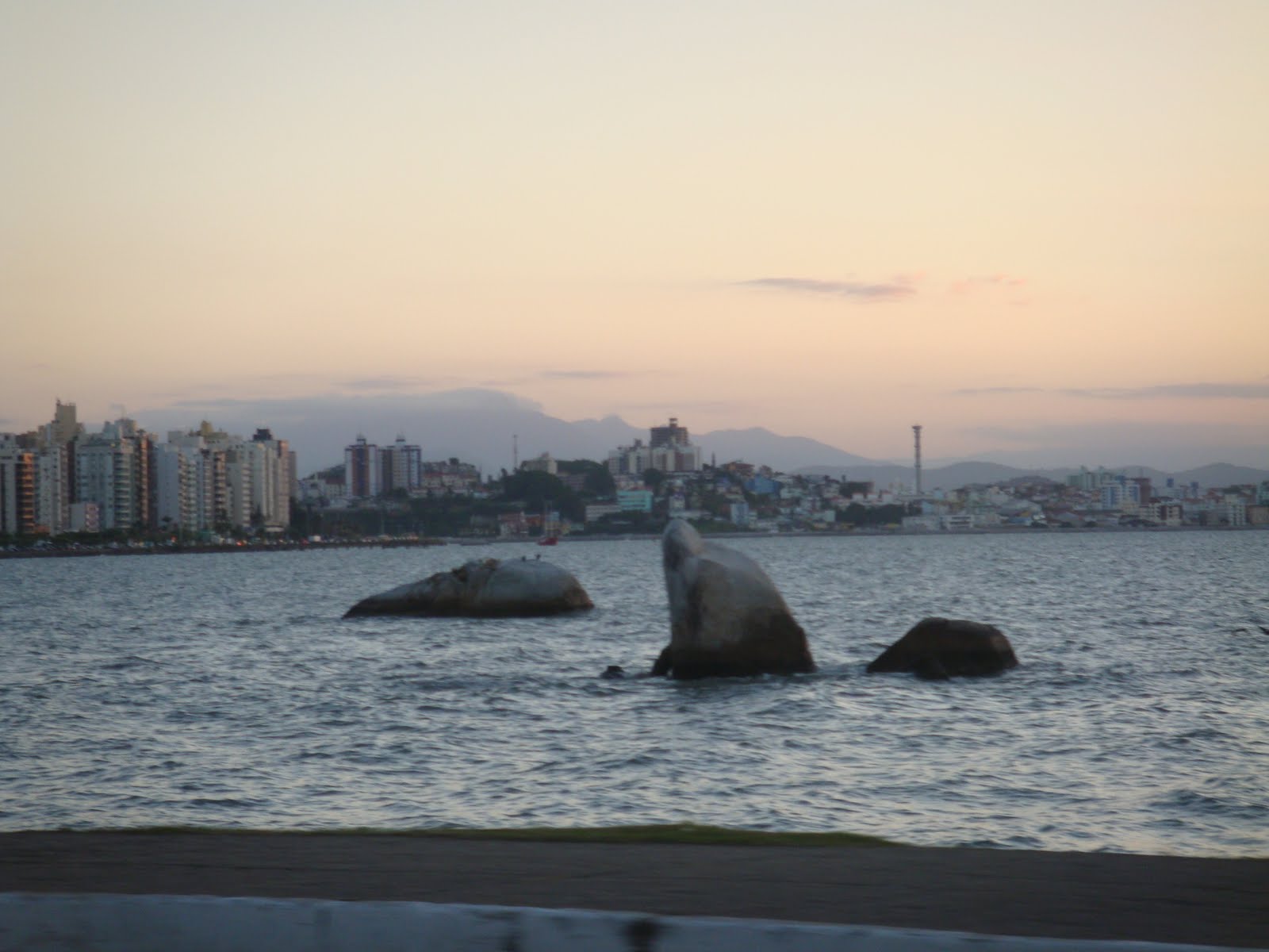[DSC01795.JPG]