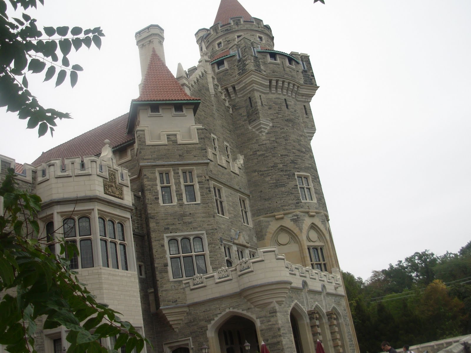 [DSCN0204.JPG]