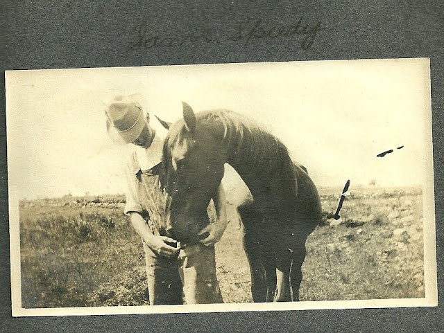 Heirlooms Reunited: 1910 Photograph Album of Maine Family, Farm ...
