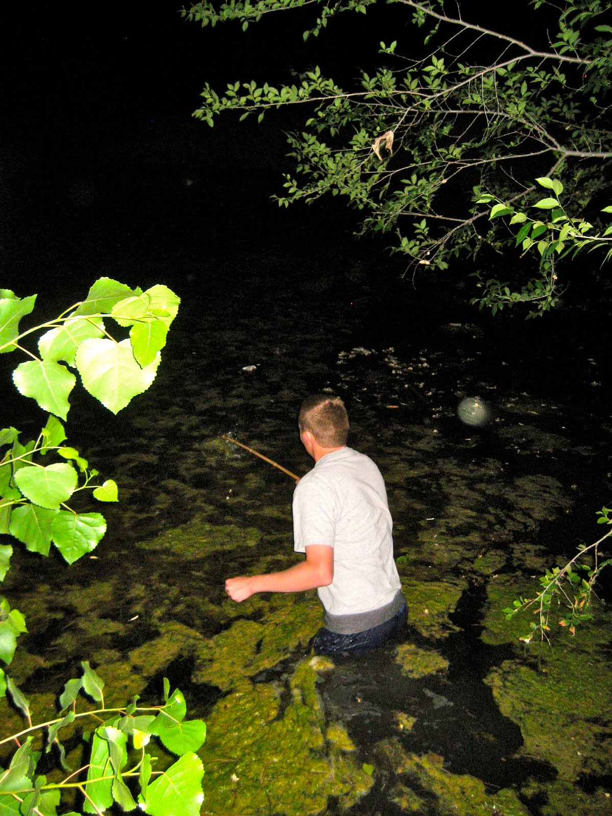 Life of Tracy Catching Frogs