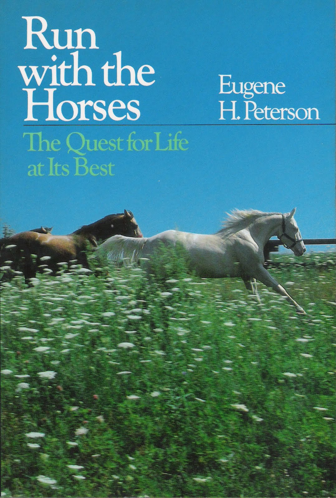 At its best. лошадь галоп. At its best. цыганская фризская лошадь. глаза лошади фото.