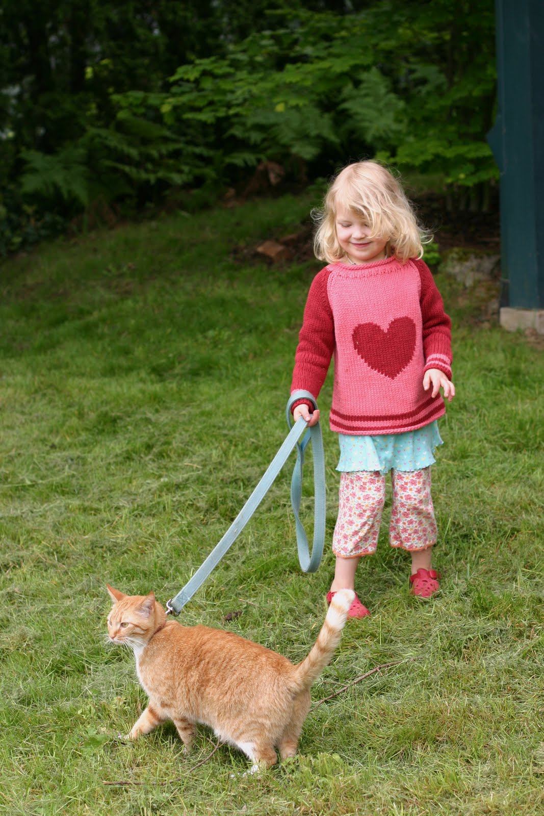 Frontier Dreams I'm a Cat Walker...