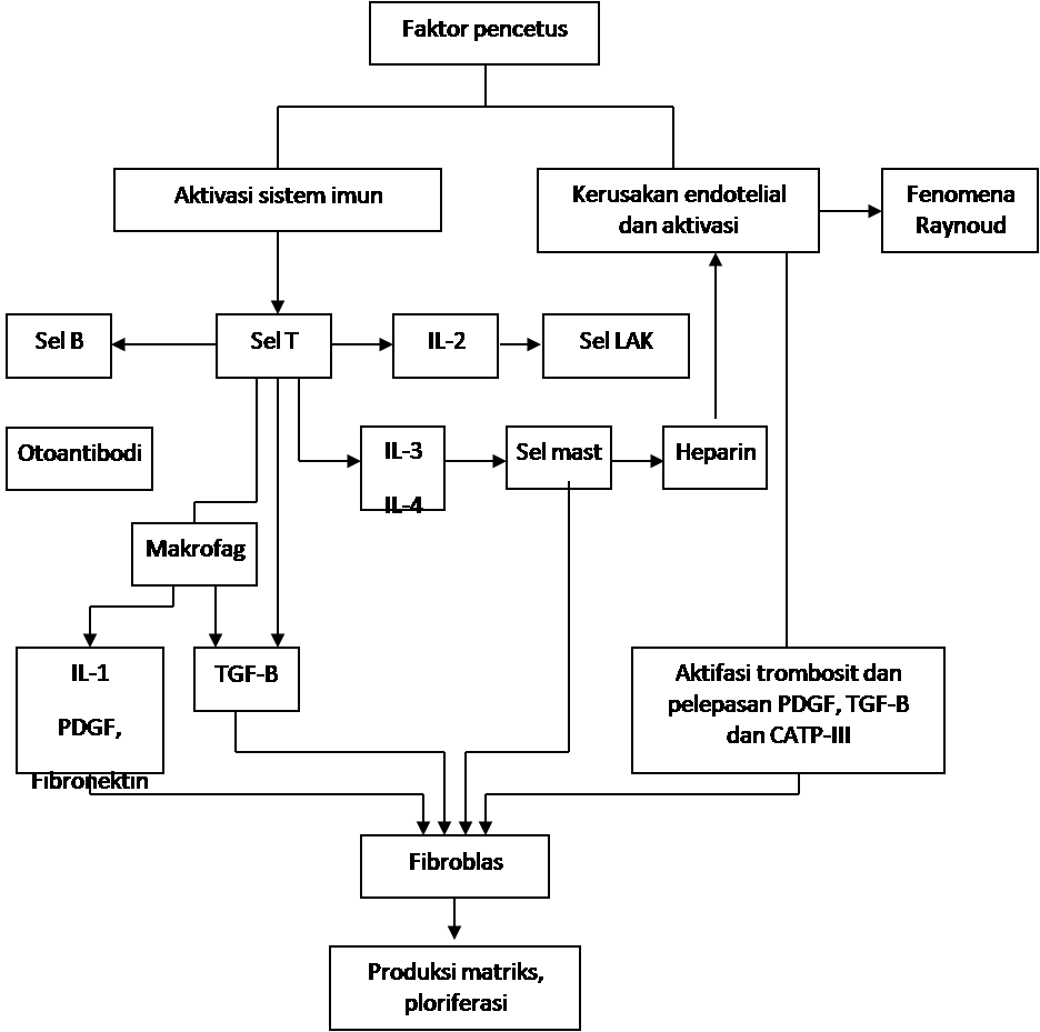 IFI LAMPUNG: SKLEROSIS SISTEMIK