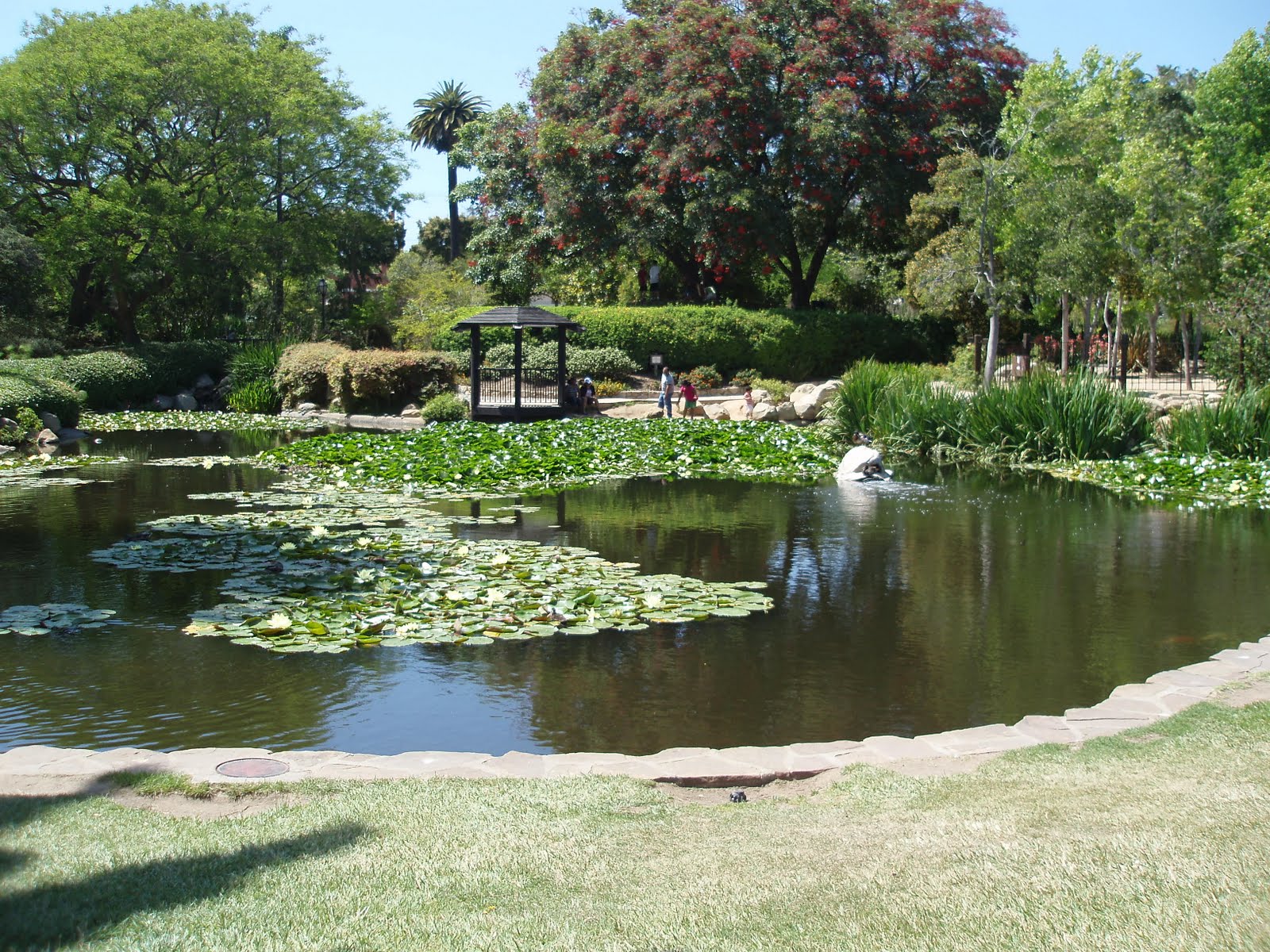 Santa Barbara Sights and Events: Alice's Garden