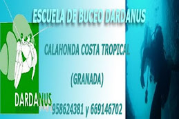 Buceo Dardanus