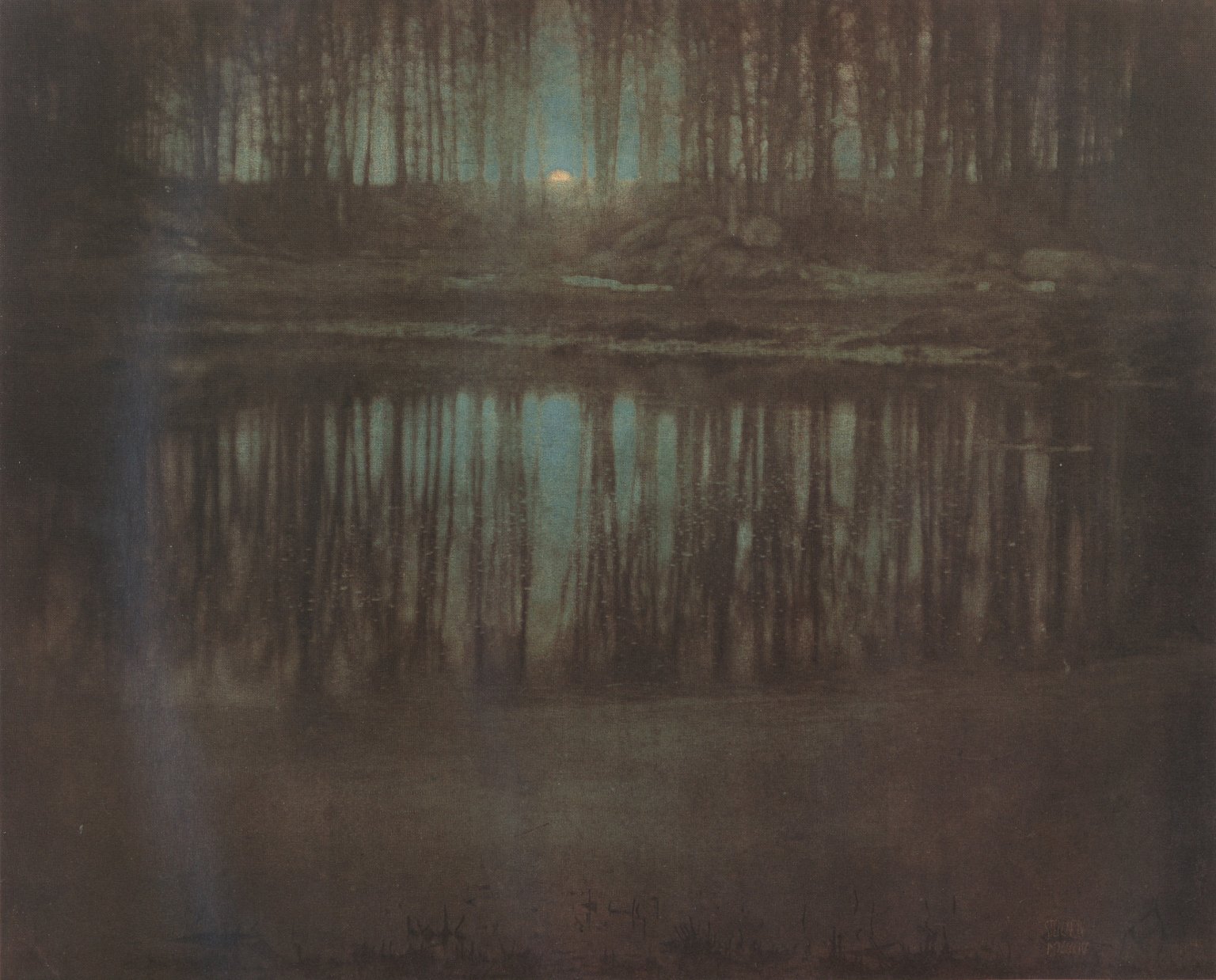 [The+Pond-Moonlight.jpg]