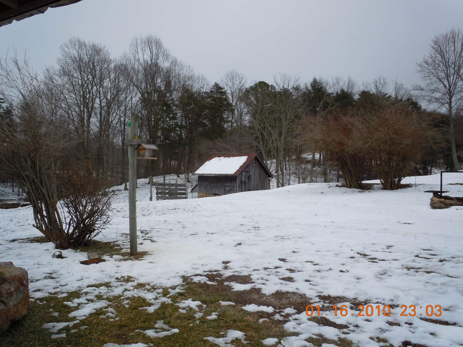 In My Corner of Appalachia A Visit to a Farm in GruetliLaager, Tennessee