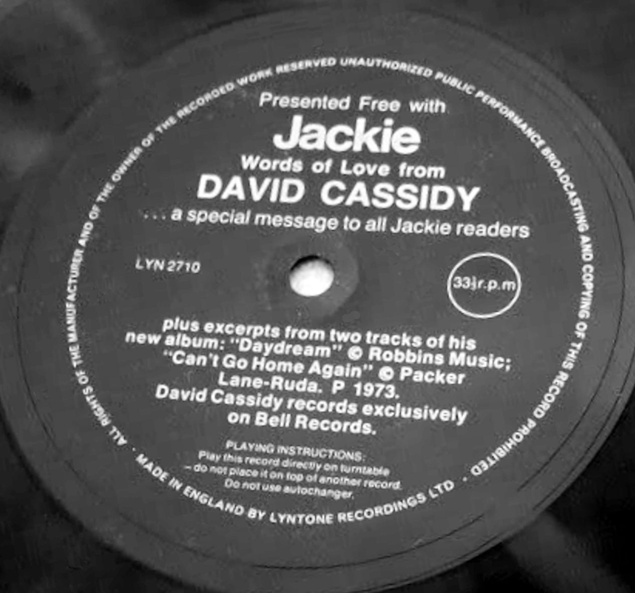 [davidcassidyflexi.jpg]