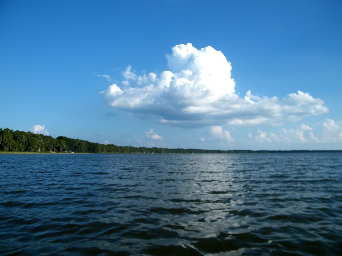 Live Oak Blues Lochloosa Lake East Side