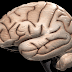 7 Fenomena Aneh Dalam Otak Manusia