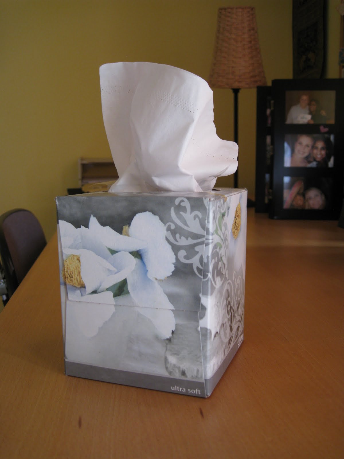 kleenex.JPG