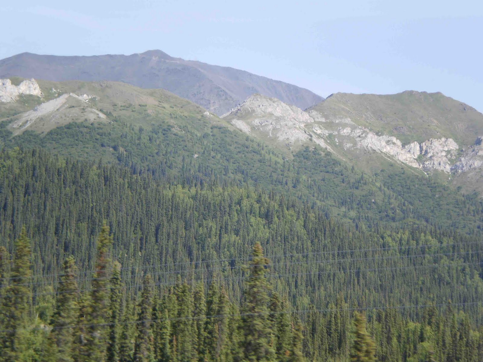 The Life Journey of Bill and Sheila. Tales From The Road of Life. TOK