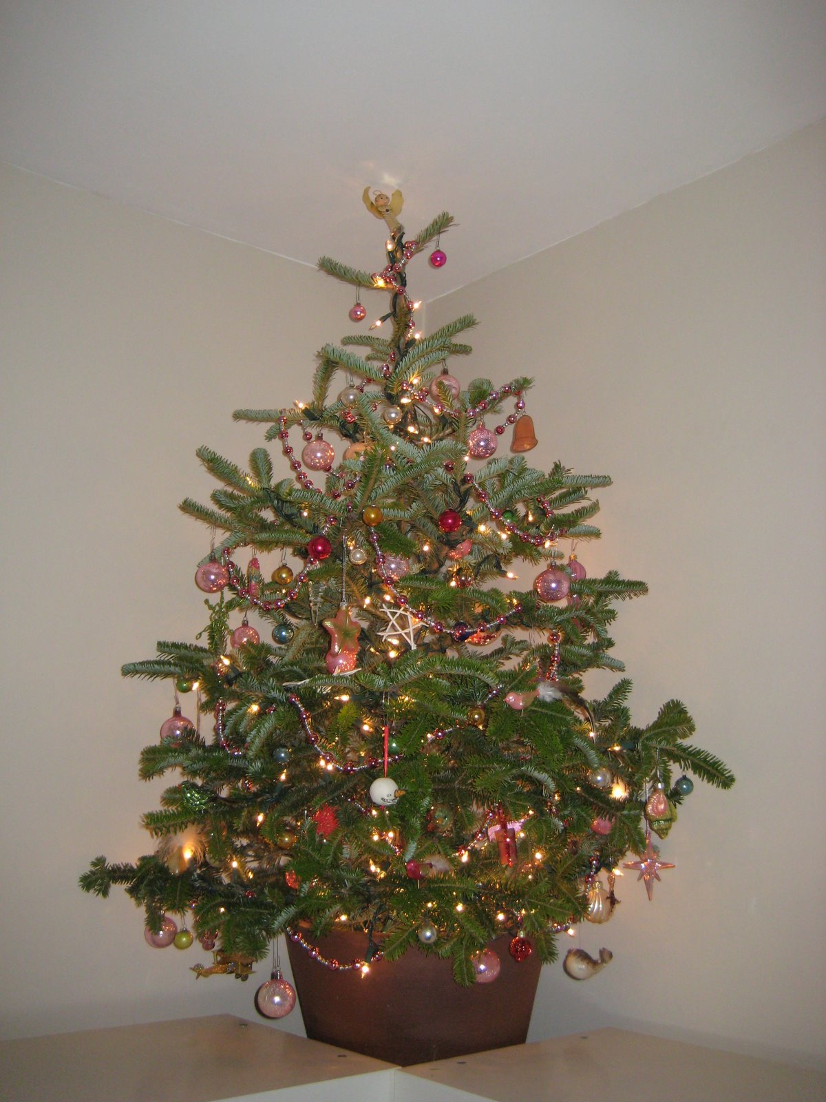 [Christmas+tree+2008+003RS.jpg]