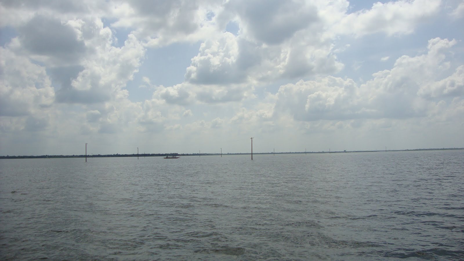 Majestic Chalan Beel Natore: A Powerful Window into Wetland Beauty