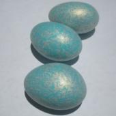 [dazzle+blue+almonds.jpg]