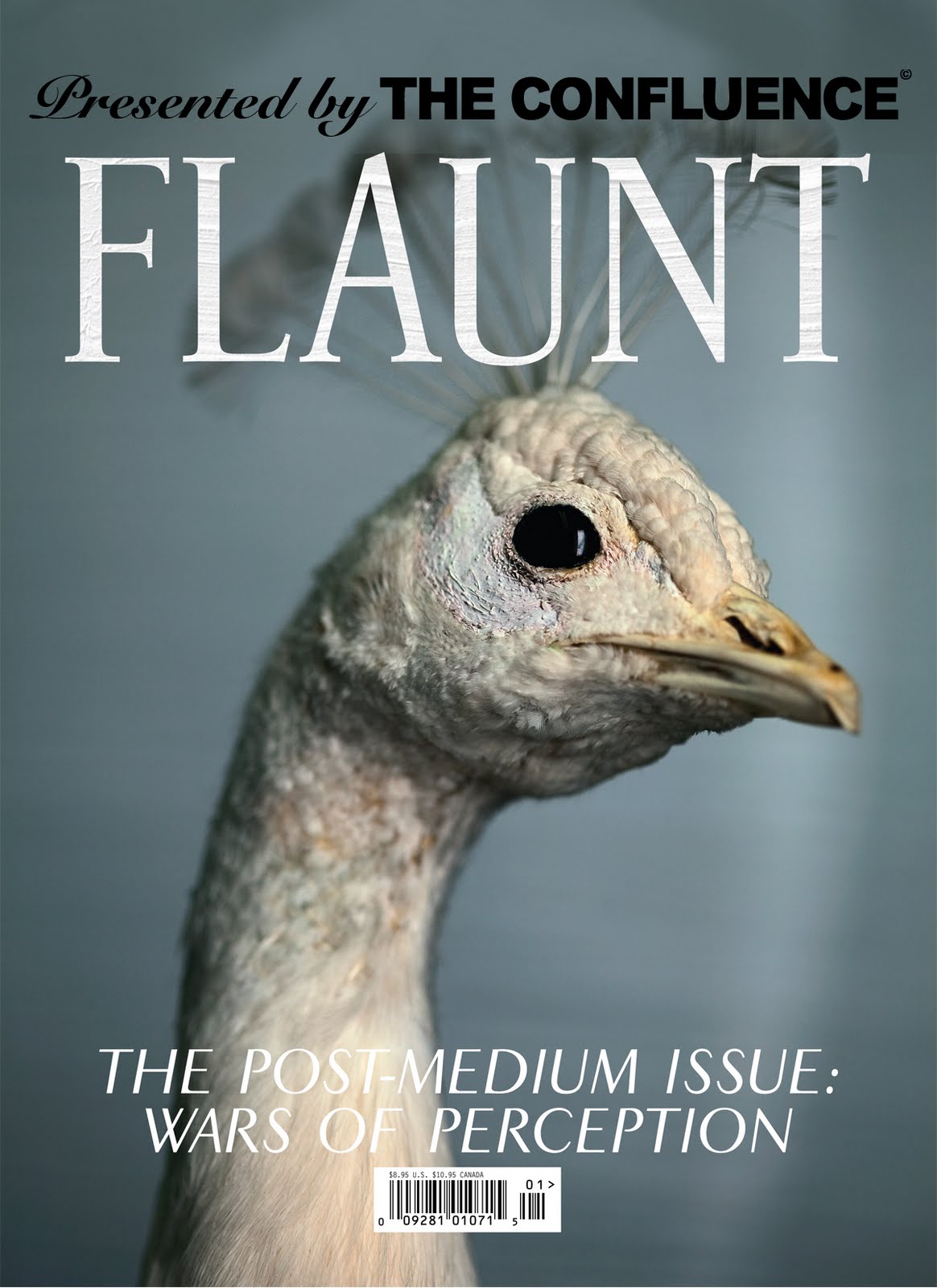 [Flaunt-Cover.jpg]