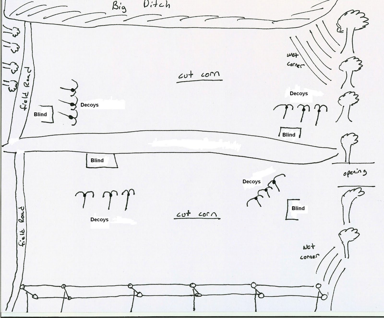 Tom's Hunting Journal Dove Hunting Strategy What You Need To Know