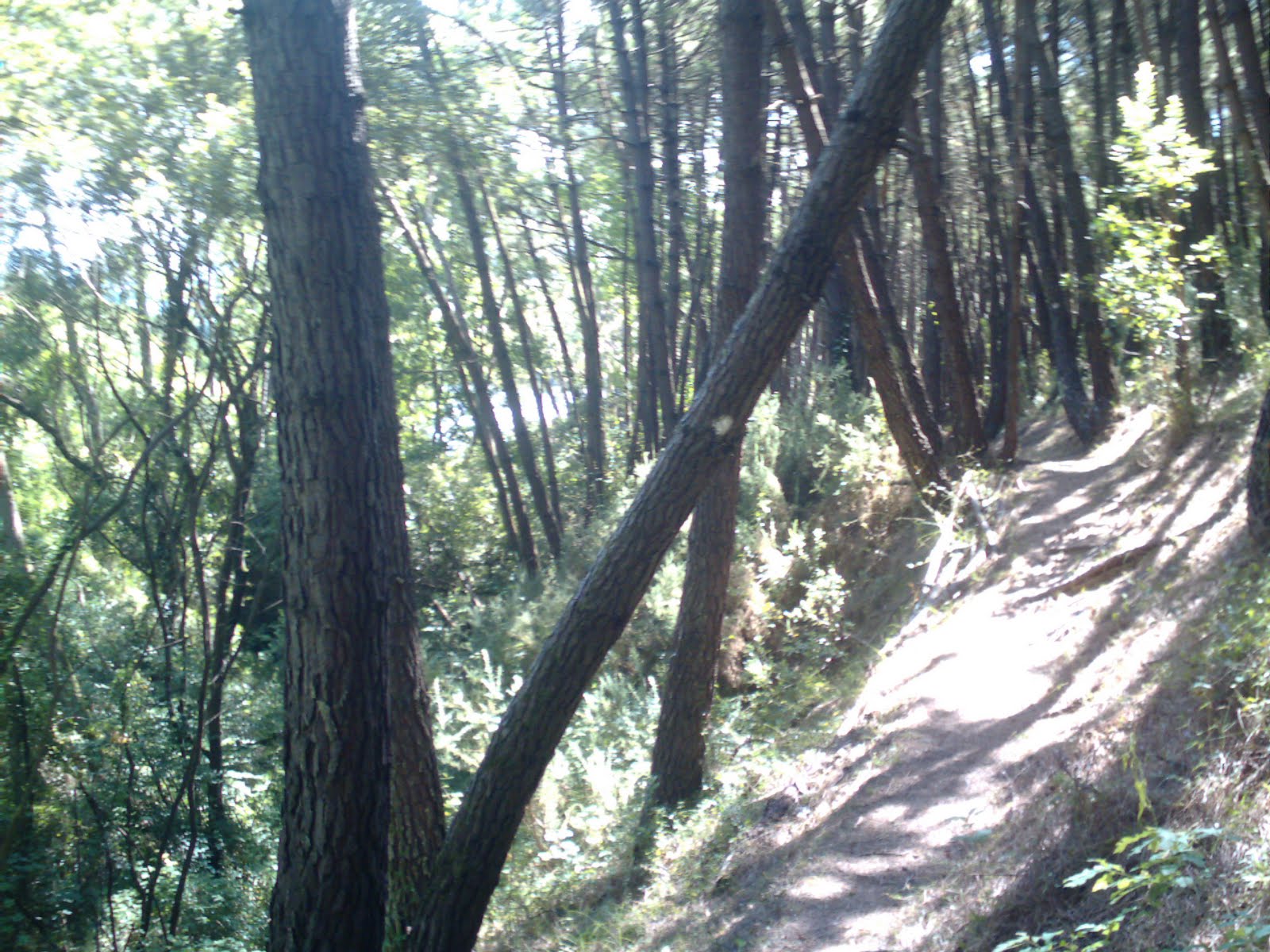 playas y paseos por la costa SENDERO DE LA RÍA DE MOGRO