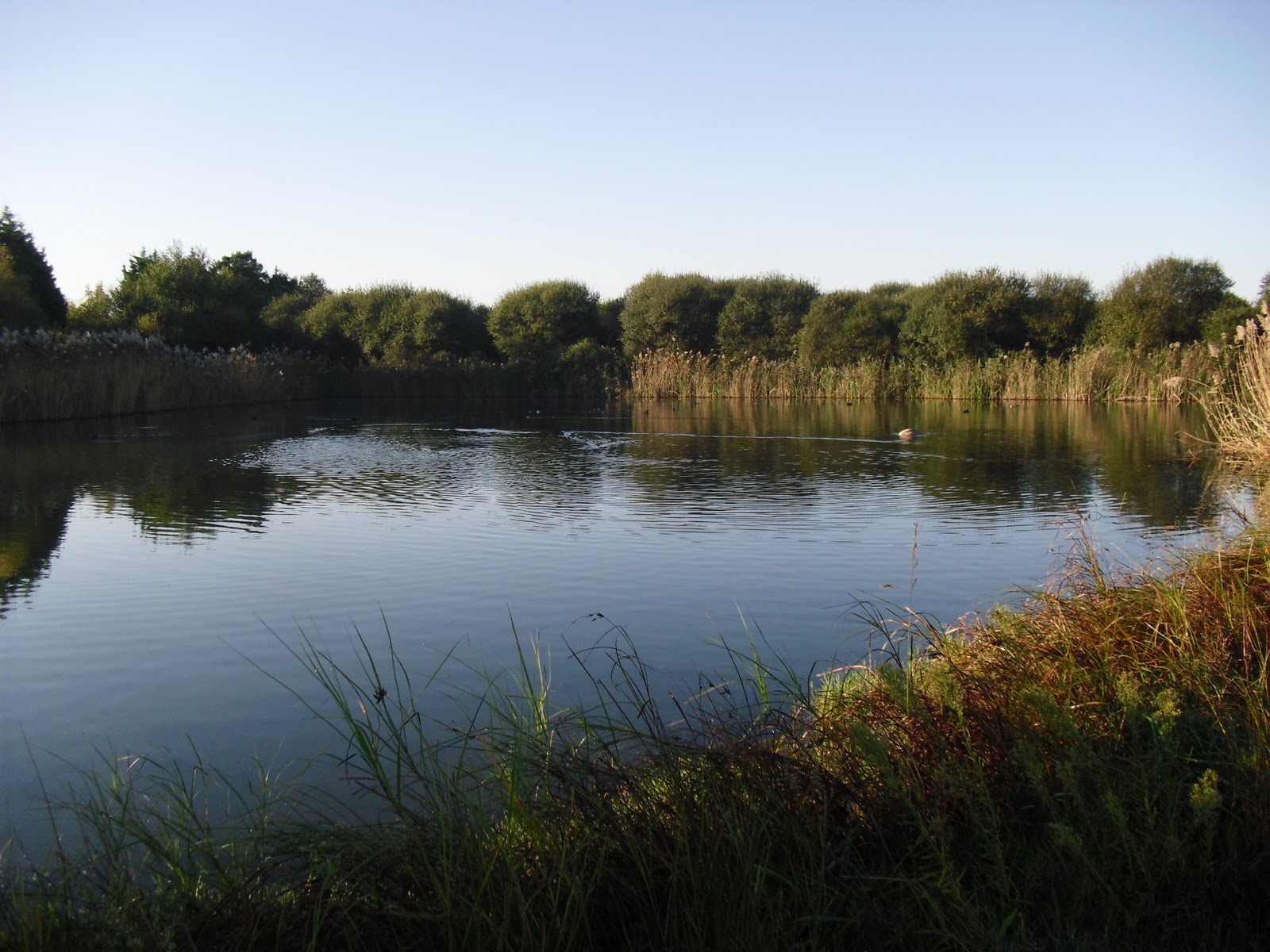 Foto de Marismas de Alday en Camargo, Cantabria