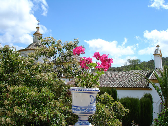 ERMITA DE LA VIRGEN DEL ROBLEDO