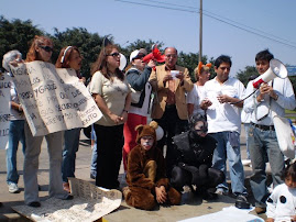 PROTESTA EN SAN BORJA POR GRINGO