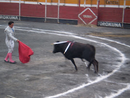 PROTESTA ANTI-TAURINA EN VMT