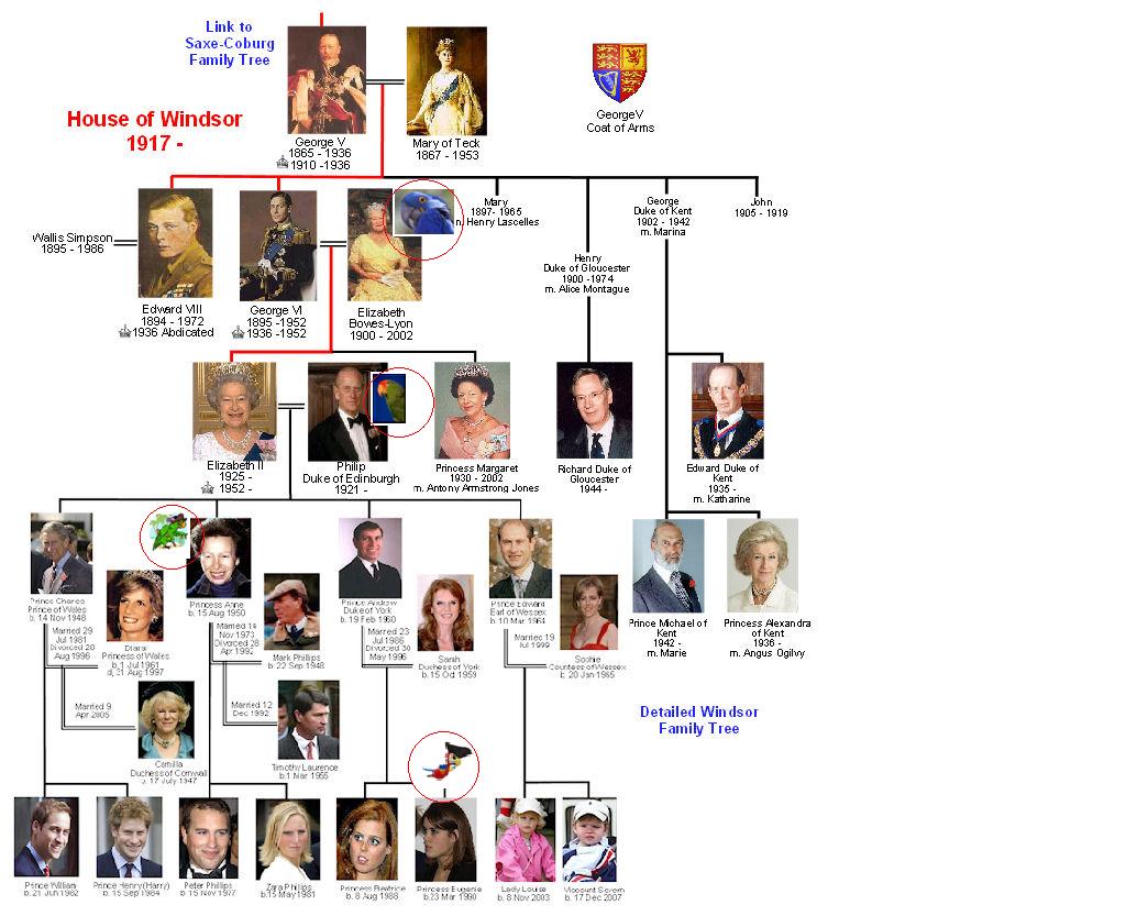 генеалогическое древо виндзоров. династия виндзоров в англии генеалогическое древо. генеалогическое древо елизаветы 2 королевы англии. королевская семья виндзоров древо. семейное древо елизаветы 2 королевы англии.