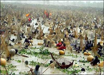 Fishing Festival in Nigeria