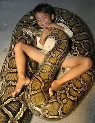 Unusual Pet-Snake