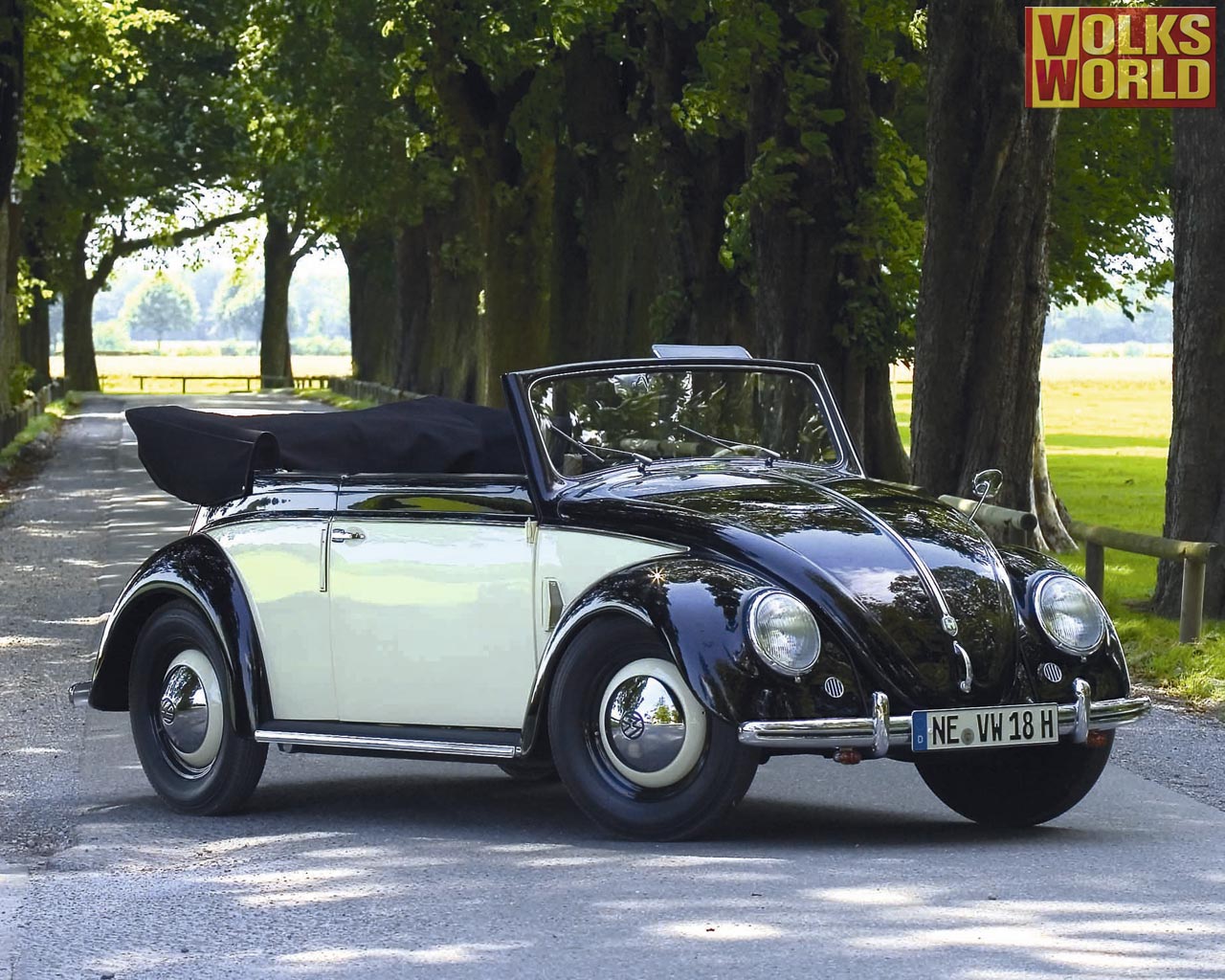 Volkswagen Beetle Hebmuller Related Keywords & Suggestions -