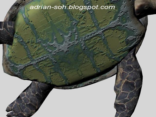 [turtleshell_bumps.jpg]