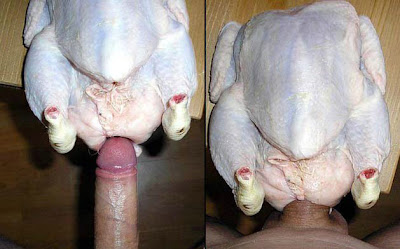 400px x 249px - Man fucks chicken and dies - Hot Nude Photos