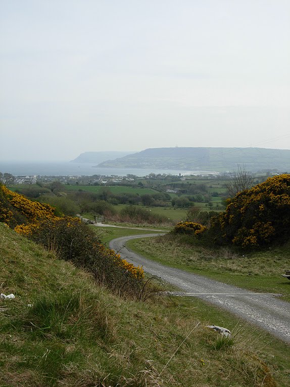 Nicolette's Notebook: Walk from Carnlough to Cranny Falls