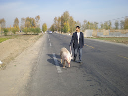 Walking your pig to market